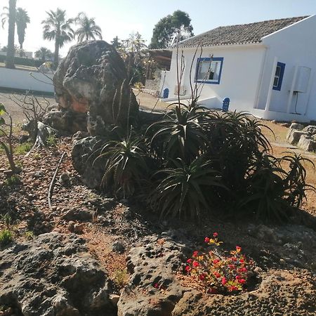 Duas Casas De Ferias Medronhal Faro Em 520 - 2 Eksteriør billede